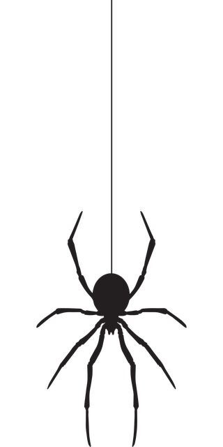 Hanging Spider Vinyl Decal Sticker Halloween, Gothic, prop, DIY