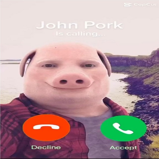 JOHN PORK PIG HALLOWEEN SEETHRU MESH FACE MASK COSTUME COSPLAY ROBLOX GAME MODEL