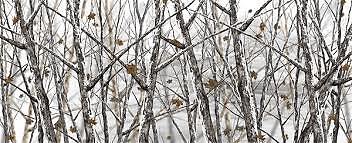 3M Bushwolf Snowstorm Camo Gloss Vinyl Wrap Sheet 53″ Wide – Outdoor Grade