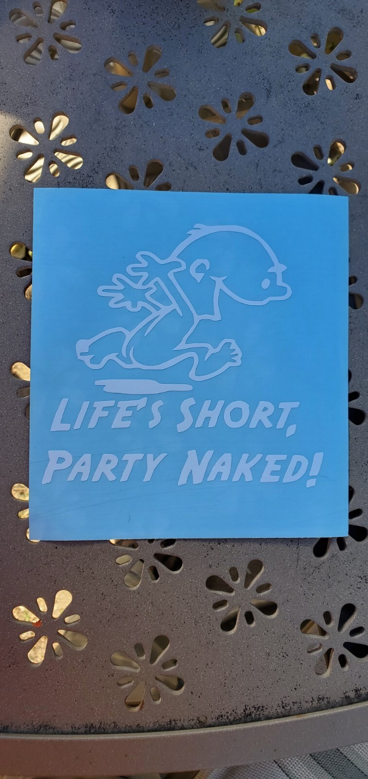 Lifes short Vinyl Decal for Auto Car Truck Boat