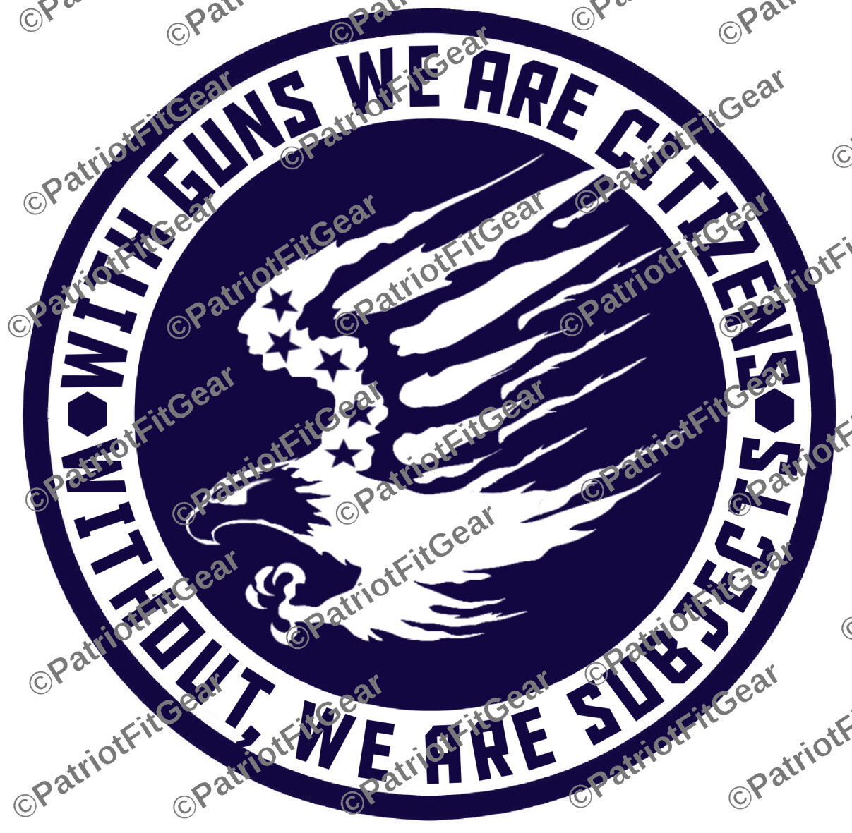 With Guns We Are Citizens,Gun Rights,10″x10,Molon Labe,We The People,Vinyl Decal