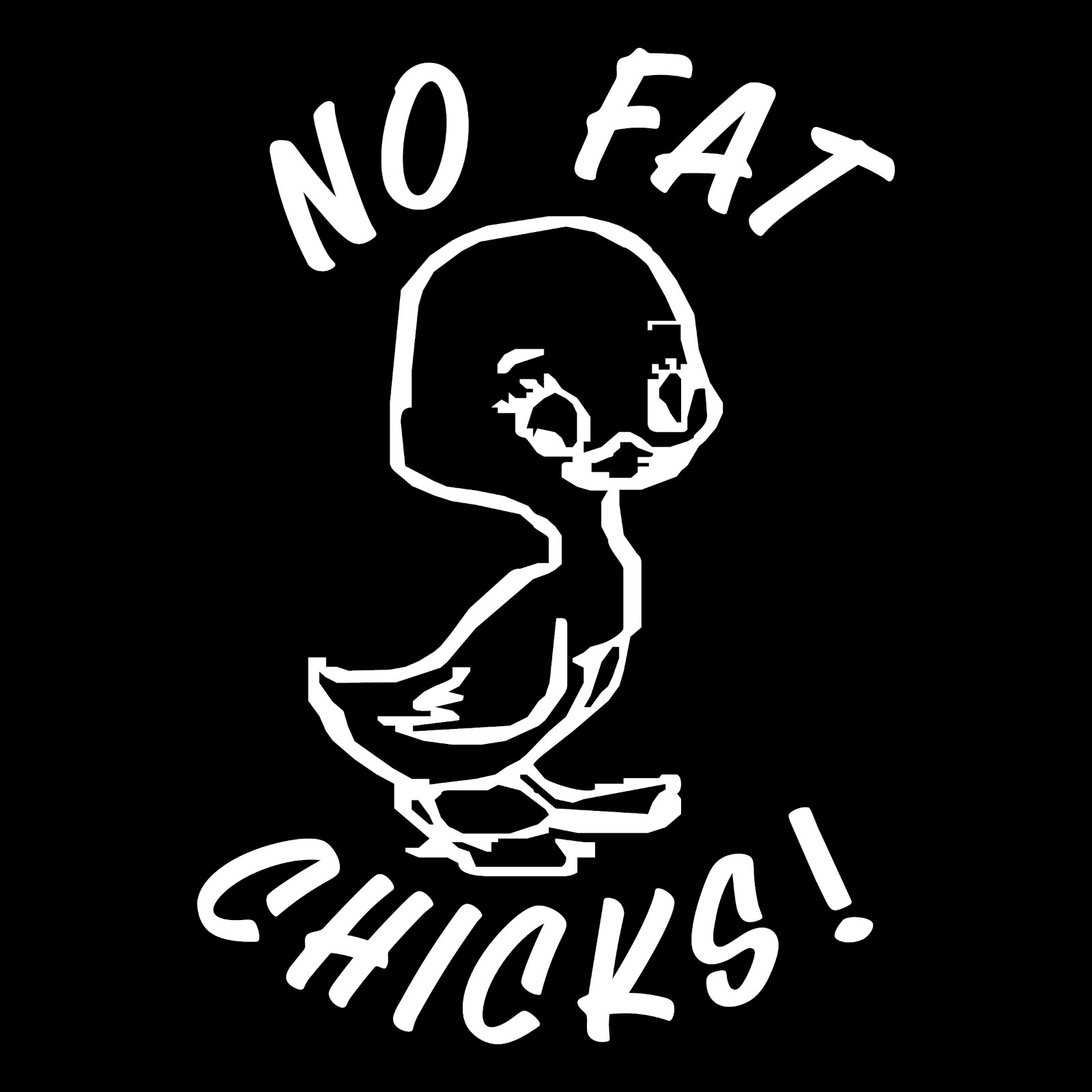 No Fat Chicks Funny Rude Car Truck Window Wall Laptop Vinyl Decal Sticker.