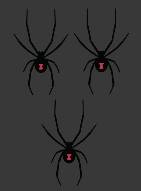 Black Widow Vinyl Decal Car Truck SUV Cell Phone Laptop Spider Sticker