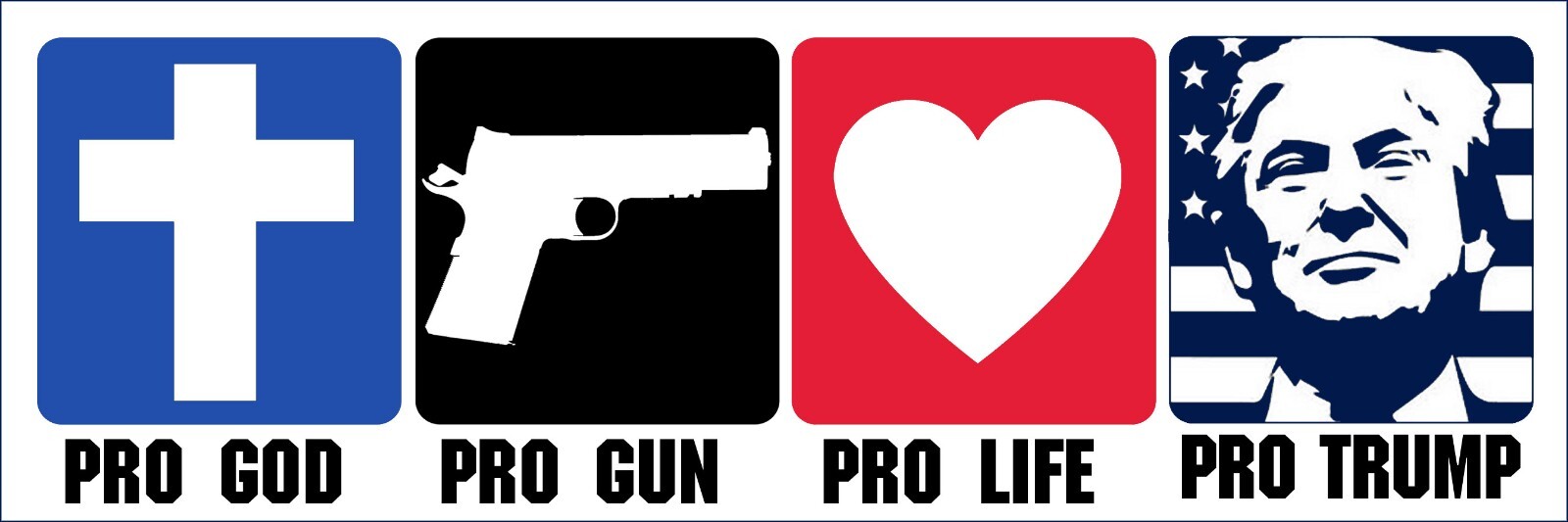 3×9 inch Magnetic Pro God Pro Gun Pro Life Pro TRUMP MAGNET (donald gop vote us)