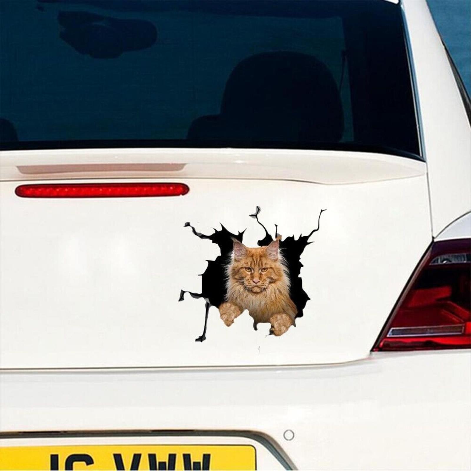 3D Cat Car Truck Exterior Decorative Sticker Vinyl Window Decals Universal k
