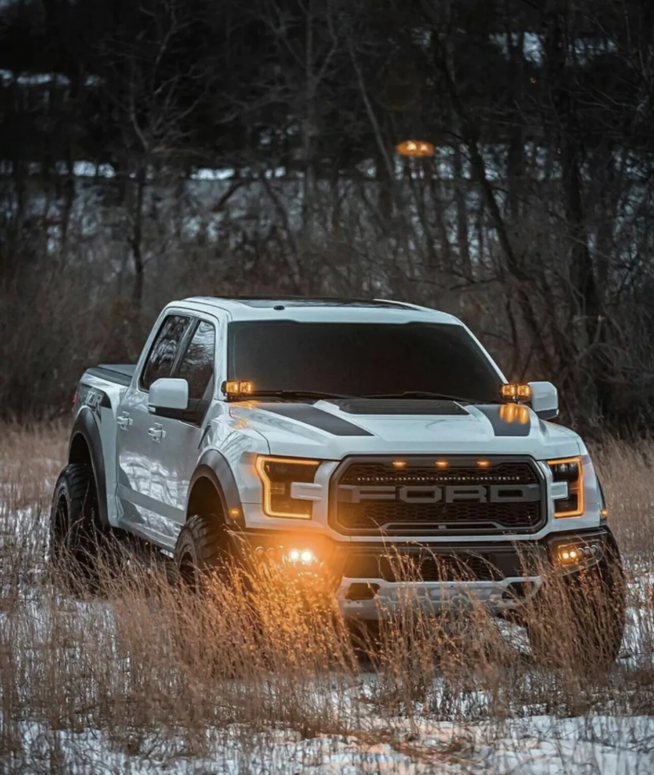 Hood Vinyl Decals graphics stripe – Ford Raptor F-150