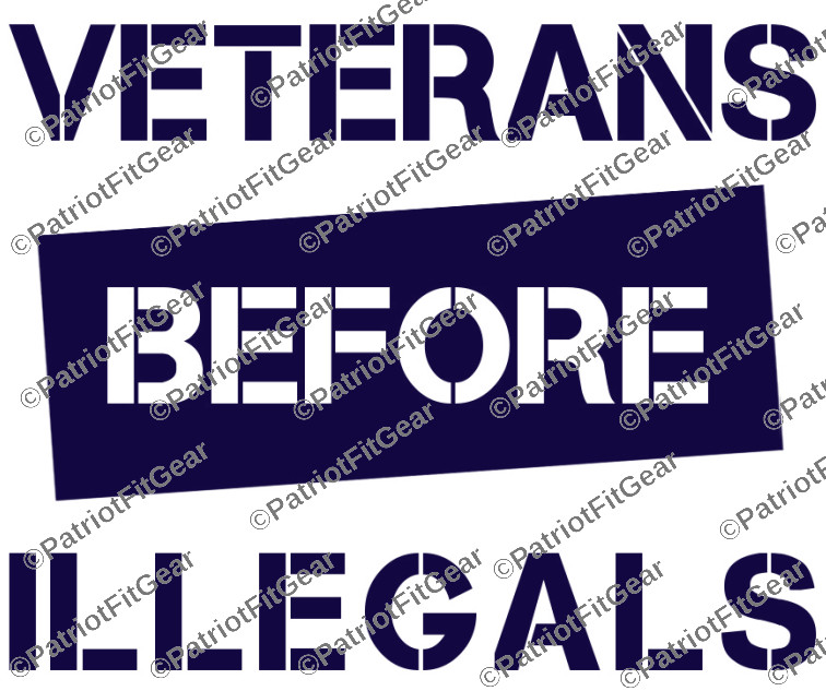 Veterans Before Illegals,Support Our Troops,12″x9″,We The People,Vinyl Decal