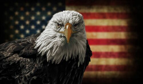 BALD EAGLE AMERICAN FLAG CAR TRUCK WINDOW 3M DECAL STICKER Yeti NATIONAL