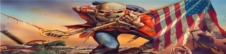 Iron Maiden Skull Abstract Perf Rear Window Graphic Decal SUV Truck Car