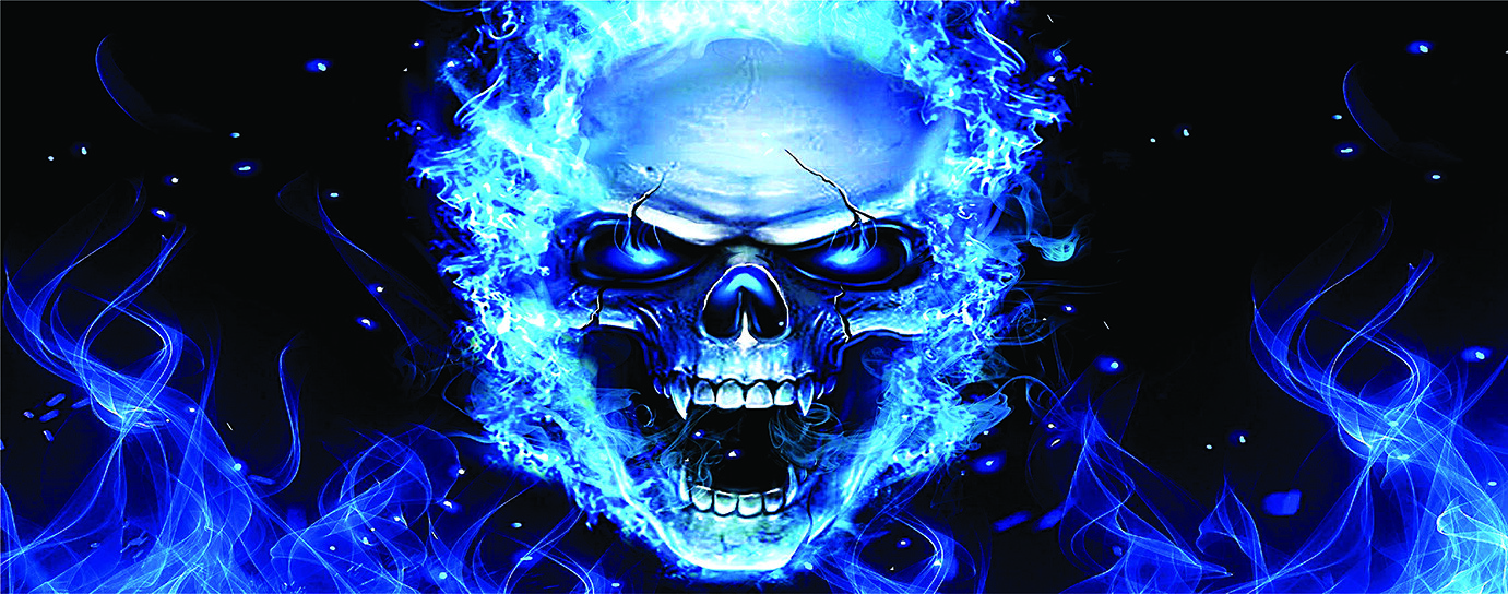 FLAMING SKULL Tailgate Wrap Vinyl Graphic Decals Stickers