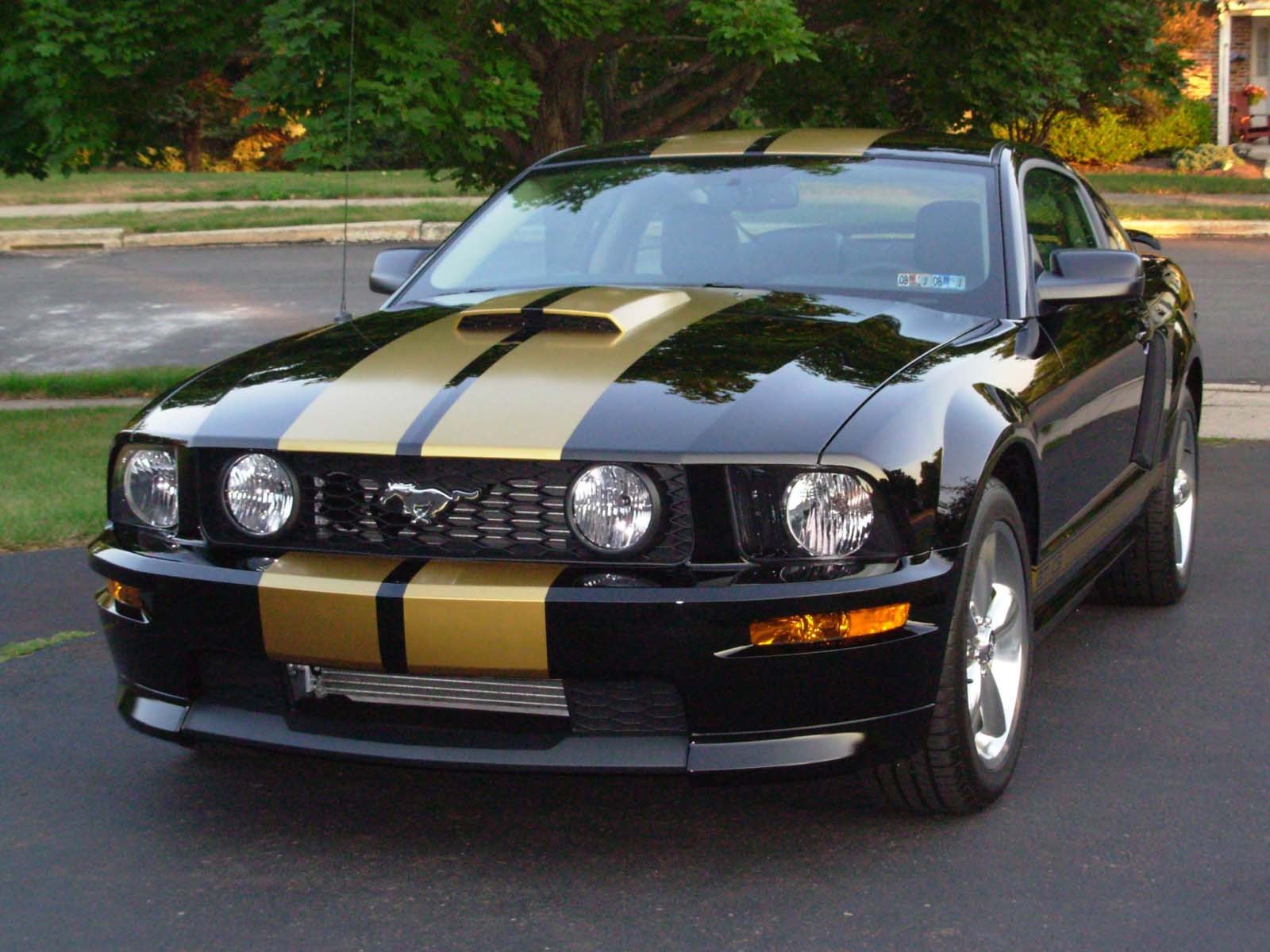 FOR ALL FORD MUSTANG 10 INCH TWIN Racing Stripes Vinyl Graphic Decal 36 FEET