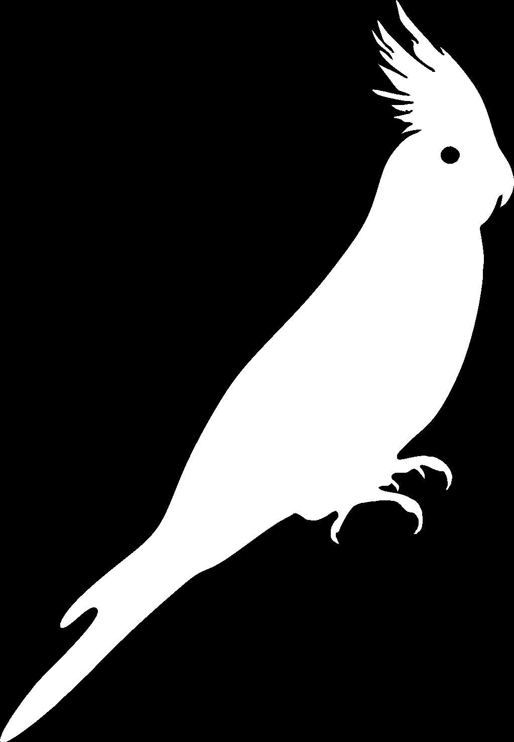 Cockatiel Silhouette Die Cut Vinyl Car Window Decal Sticker US Seller