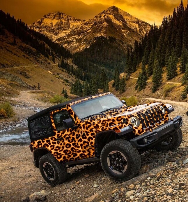 Leopard Print Pattern Matte Vinyl Car Wrap Sheet +Free Tools( 2 feet & up)