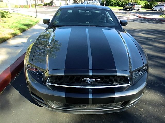 FOR ALL FORD MUSTANG 10 INCH TWIN Racing Stripes Vinyl Graphic Decal 36 FEET