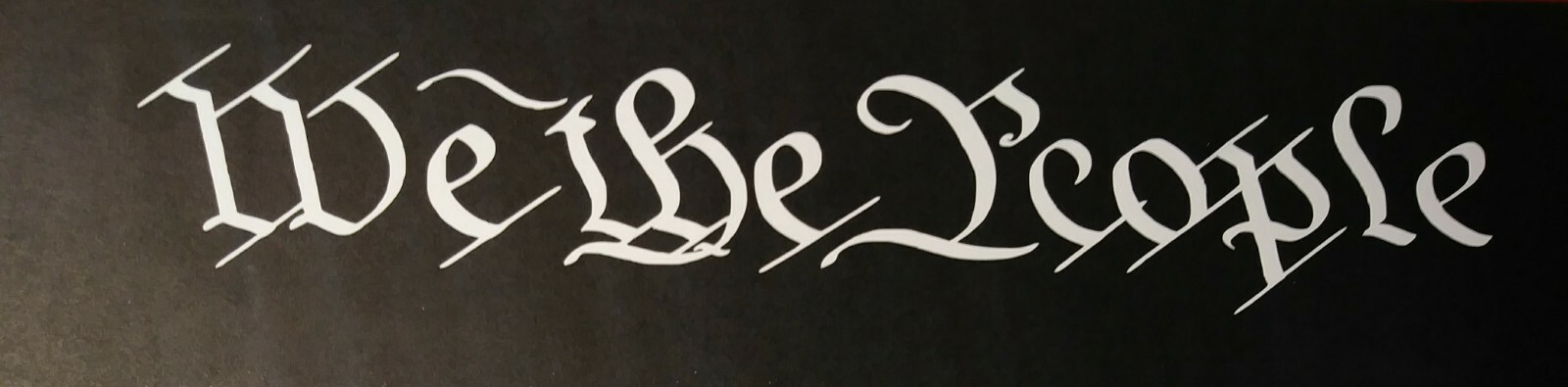WE THE PEOPLE CAR/TRUCK WHITE Vinyl Window Decal #W-1 (8.6″ W – 1.7″ H)