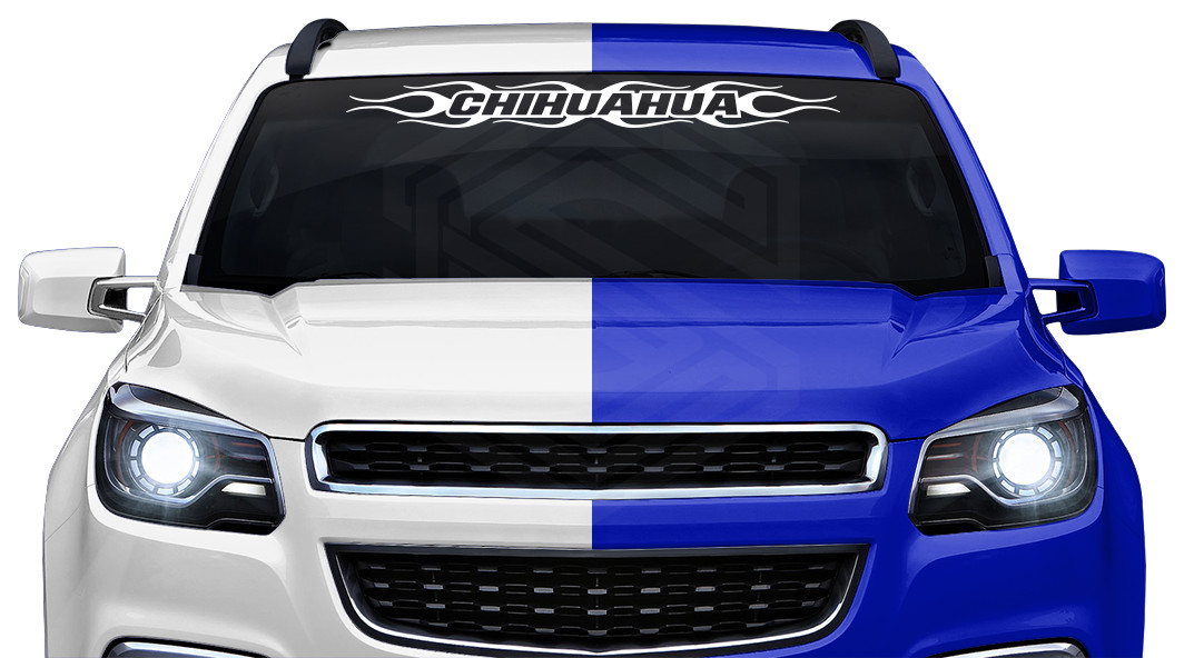 #124 CHIHUAHUA Mexico CHH Decal Sticker Windshield Window Graphic Estado Troca