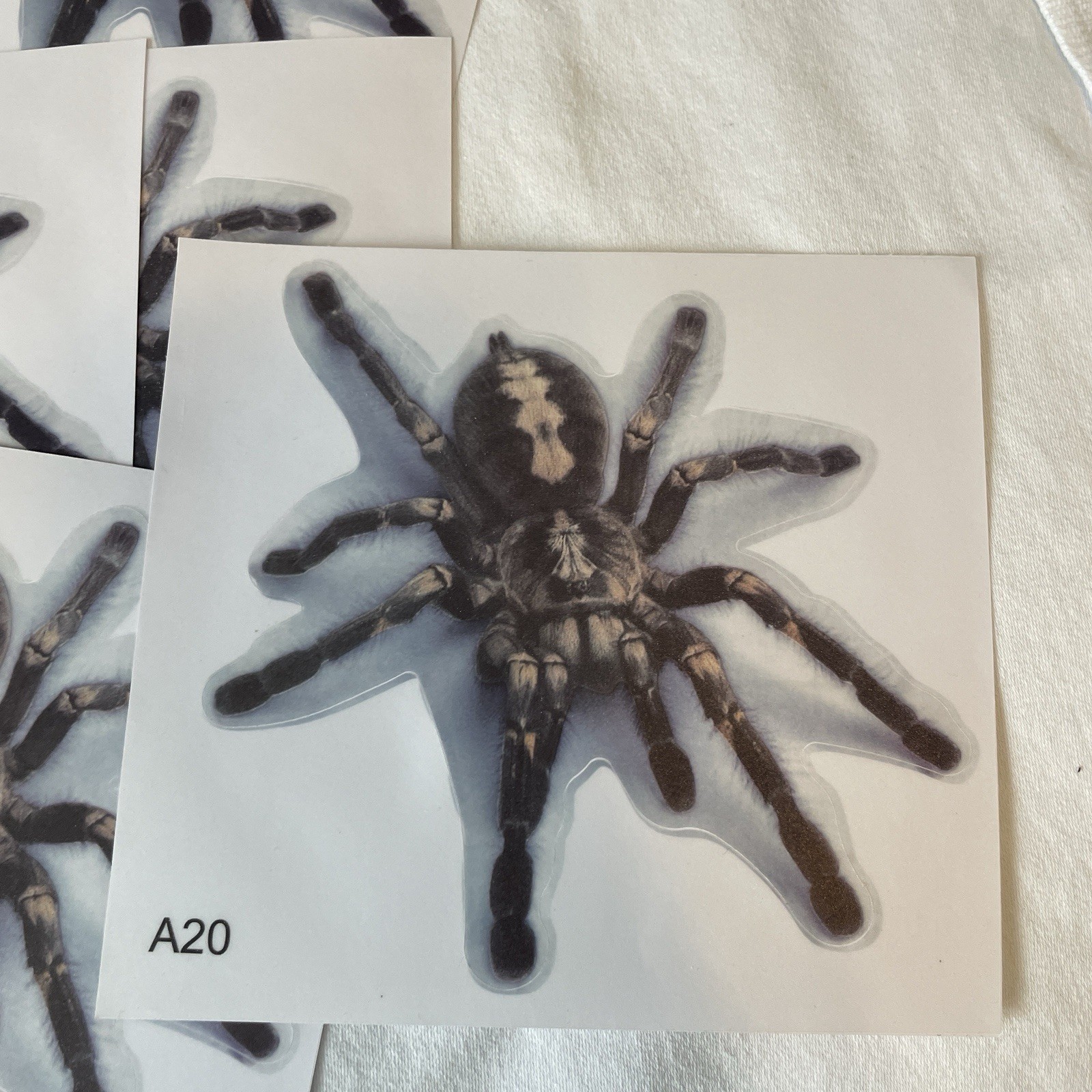 Lot Of 48 Tarantula Spider Sticker 4×4 Inch Car Truck Window Bumper Decal