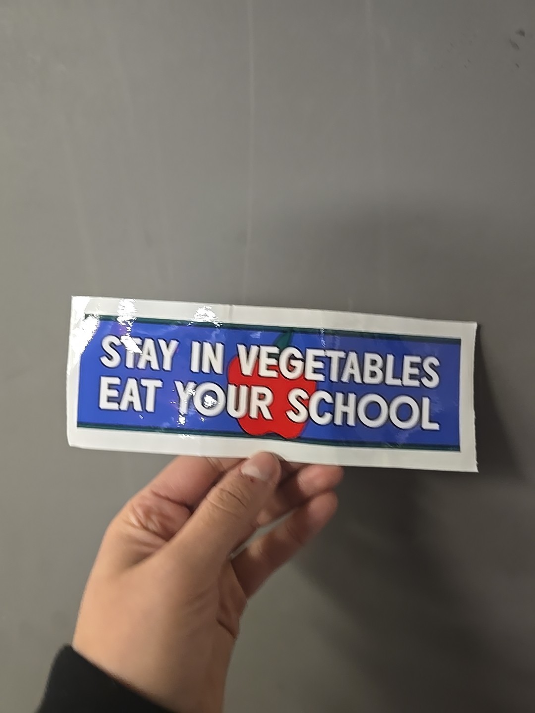 Funny “Stay In School” Bumper Sticker Car Decal 7 X 2 Inches