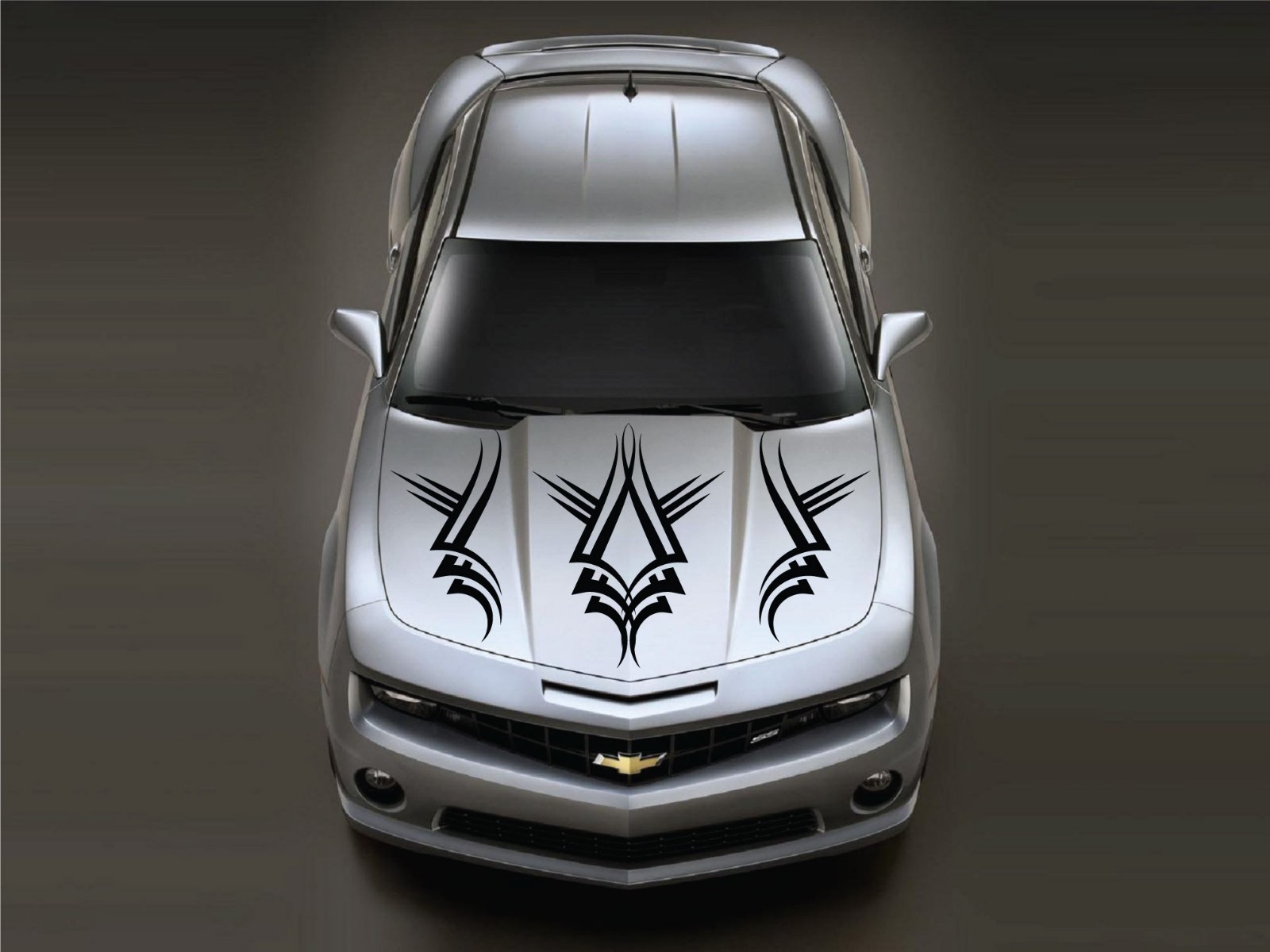 Tribal Stripe Hood & Side Vinyl Decal Truck Vehicle Graphic SUV Car Pickup Boat