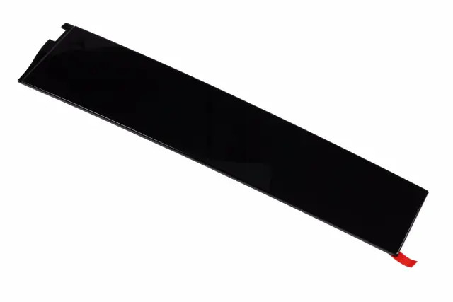 Genuine GM Front Passenger Side Door Window Frame Rear Applique 84263145