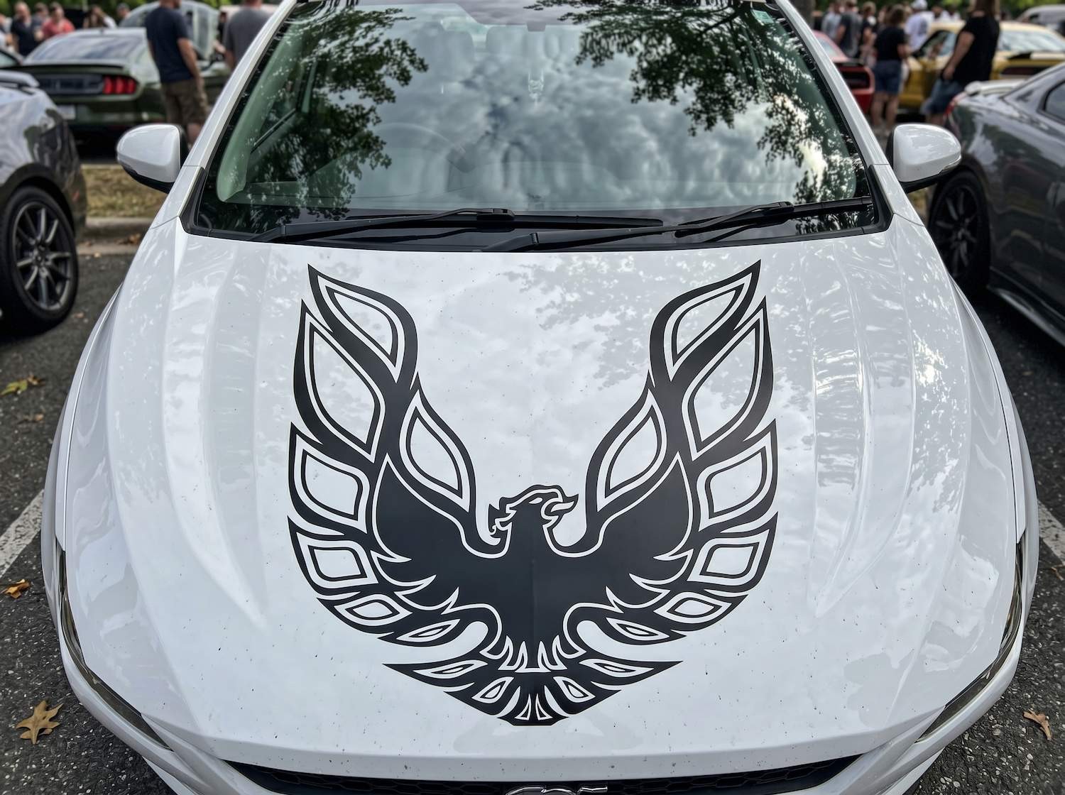 35×35 Firebird Phoenix Hood Graphic Vinyl Sticker for Truck SUV Car