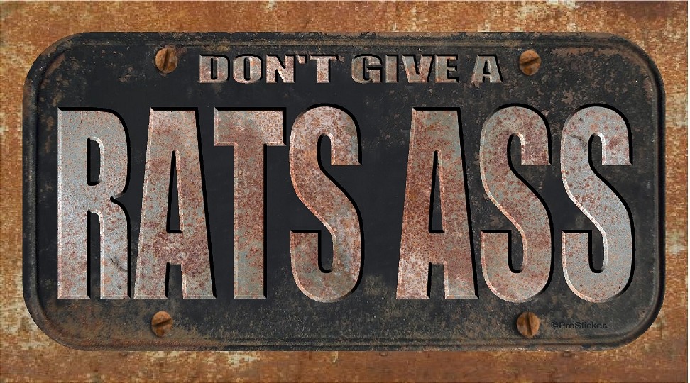ProSticker 762 (One) 4″x 8″ Don’t Give A Rat’s Ass Decal Sticker Not A Plate
