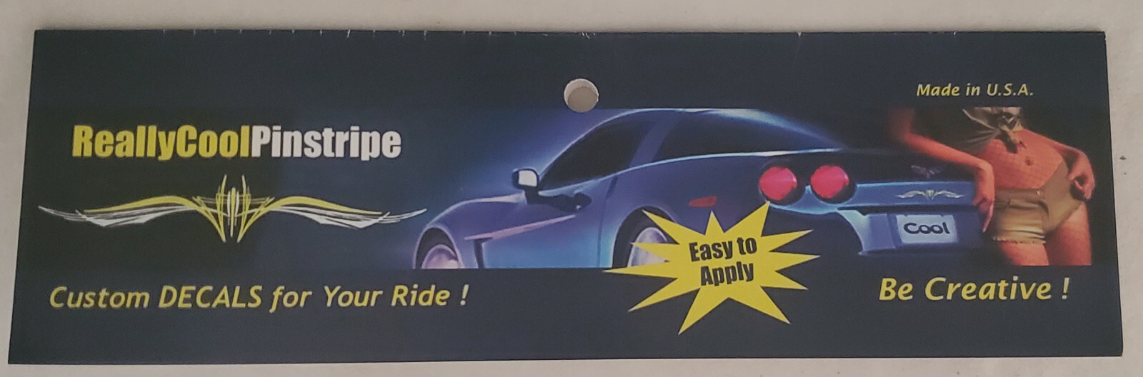Really Cool Pinstripe Car Boat Motorcycle Glass+ MORE Black/Red Decals QTY 18!
