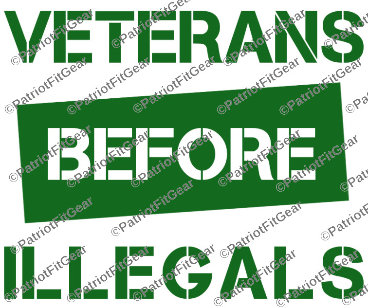 Veterans Before Illegals,Support Our Troops,12″x9″,We The People,Vinyl Decal