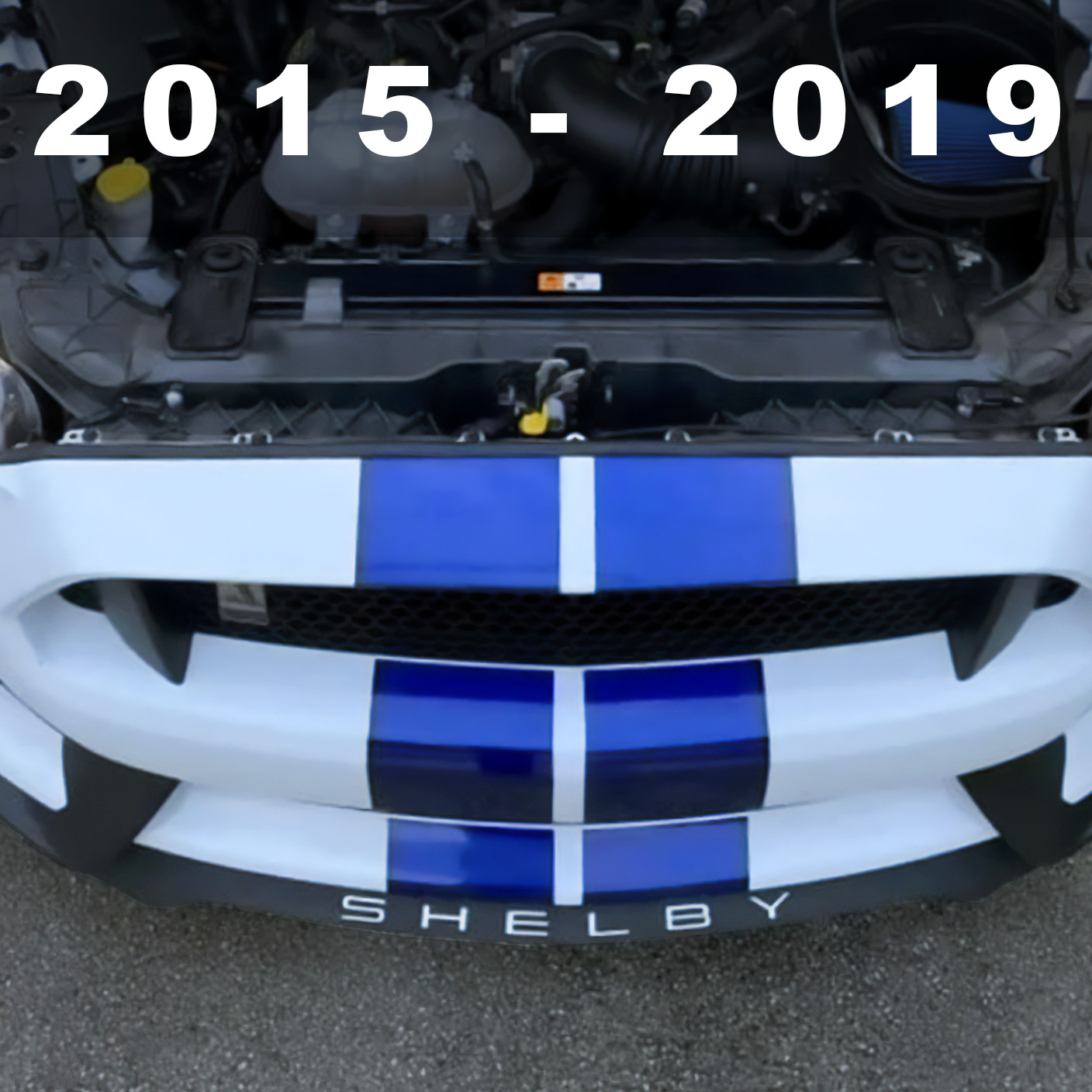 WHITE Front Splitter PLASTIC LETTERS Fits Shelby GT350 2015 – 2019 NOT VINYL