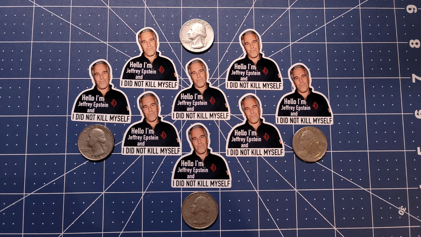 8pcs “I DID NOT KILL MYSELF” JEFFRY EPSTEIN Collectible Stickers