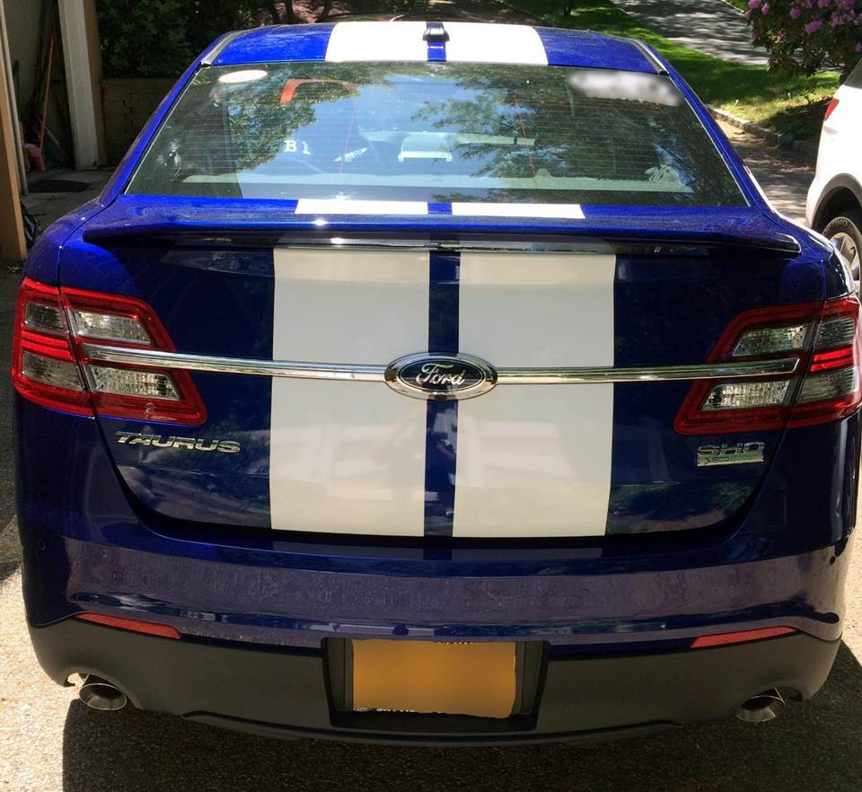 10″ Plain Rally stripes Stripe Graphics Fit 2010 16 18 Taurus LX SEL X SHO