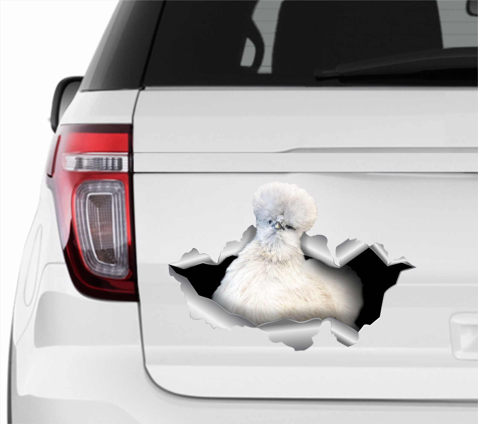 Silkie chicken Car sticker White chicken stickers Chicken sticker Hen sticker