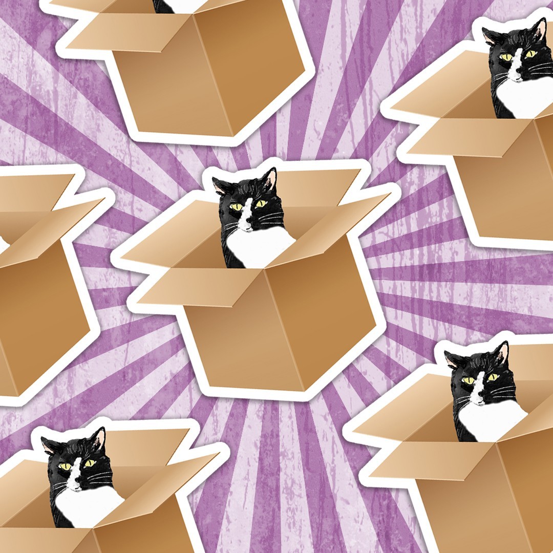 Cat in a Box Sticker: Tuxedo Cat Decal: