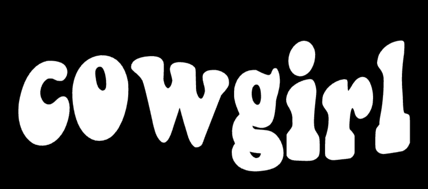 *Cowgirl Country Car Truck Funny Sticker Decal 6″ x 2”