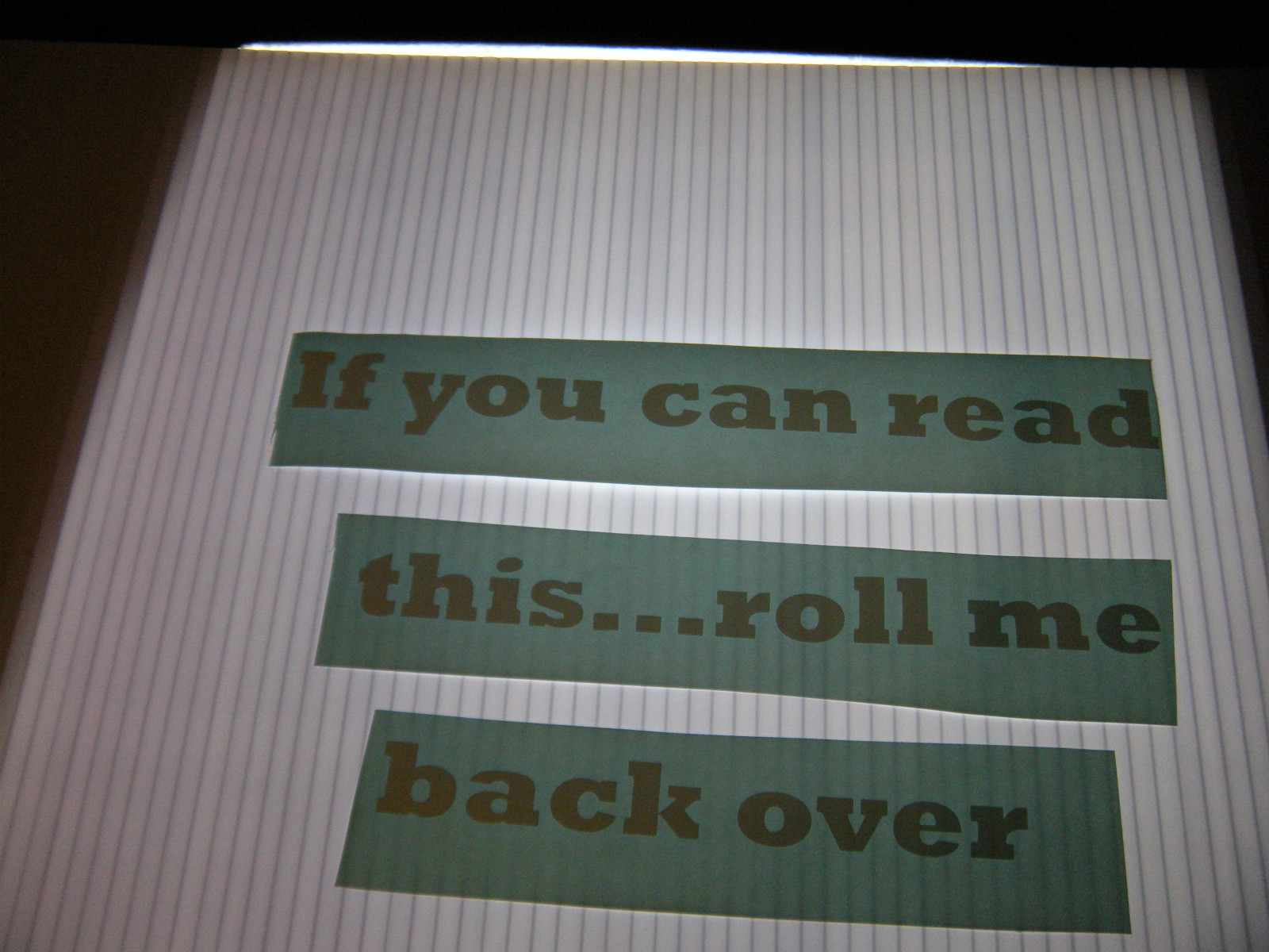 IF YOU CAN READ THIS ROLL ME BACK OVER VINYL STICKER