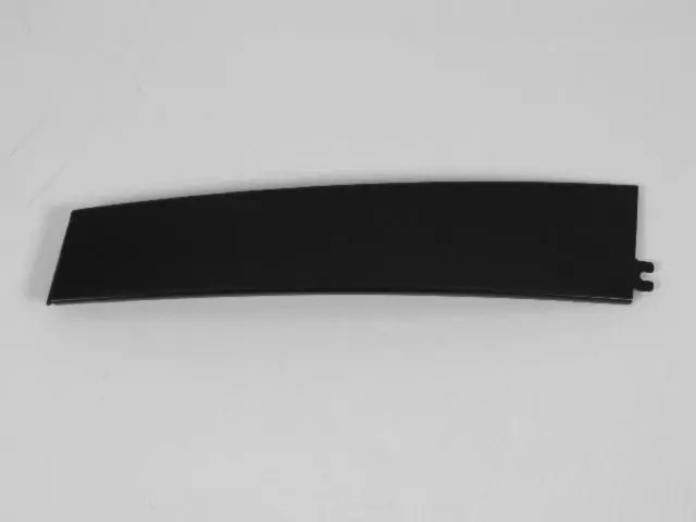 Genuine Mopar Front Door Applique Right 4806146AB