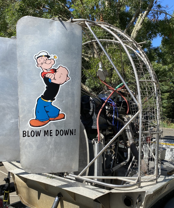 POPEYE KIDS CARTOON DECAL USA STICKER CAR TRUCK WINDOW BUMPER LAPTOP WALL LAPTOP