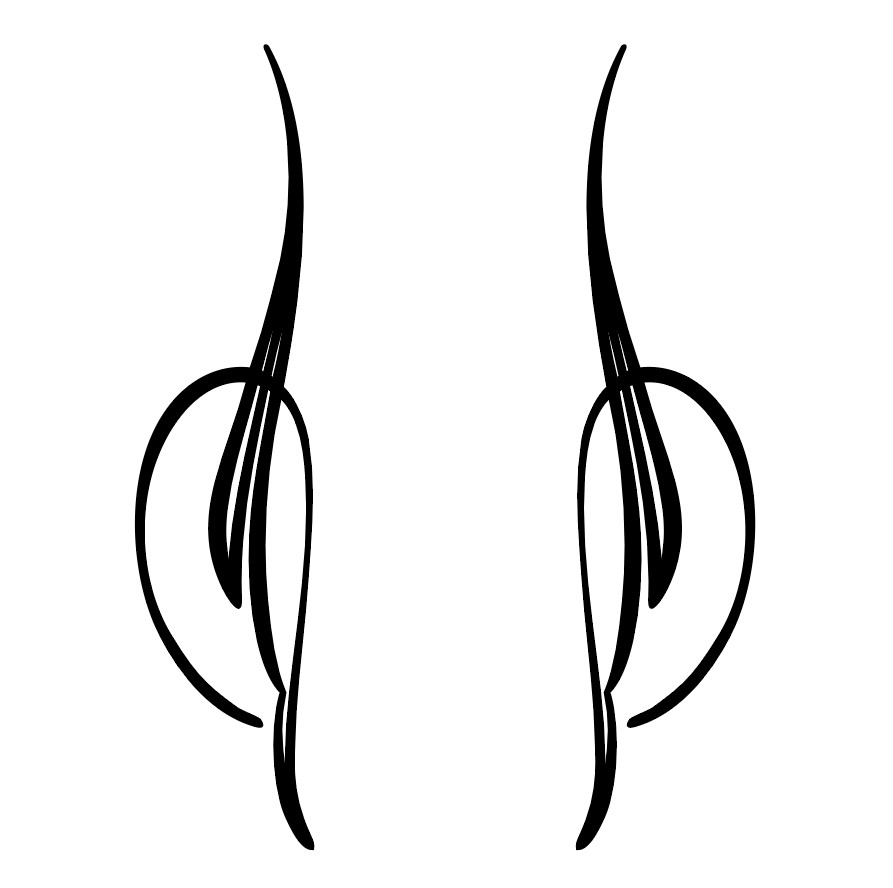 Hot Rod Pinstriping Decals – Set of 2 – 10″ x 2.25″ – Free shipping – 1 color