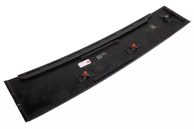 Genuine GM Rear Passenger Side Door Window Frame Front Applique 84988284