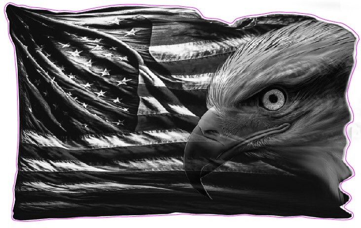 American flag eaglehead black and white decal 24″ x 17″