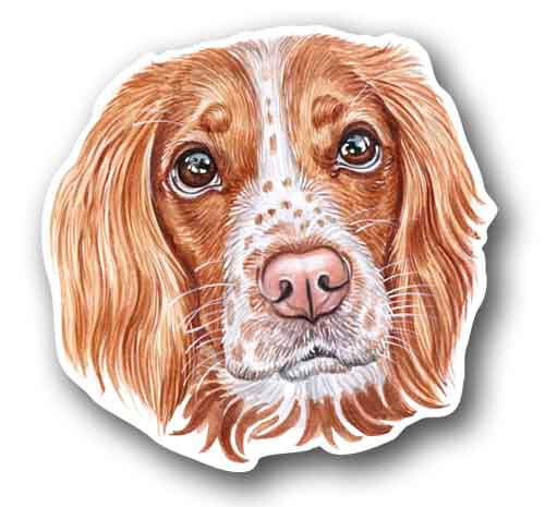 Springer Spaniel dog 4″ Tall Sticker Decal Waterproof Vinyl