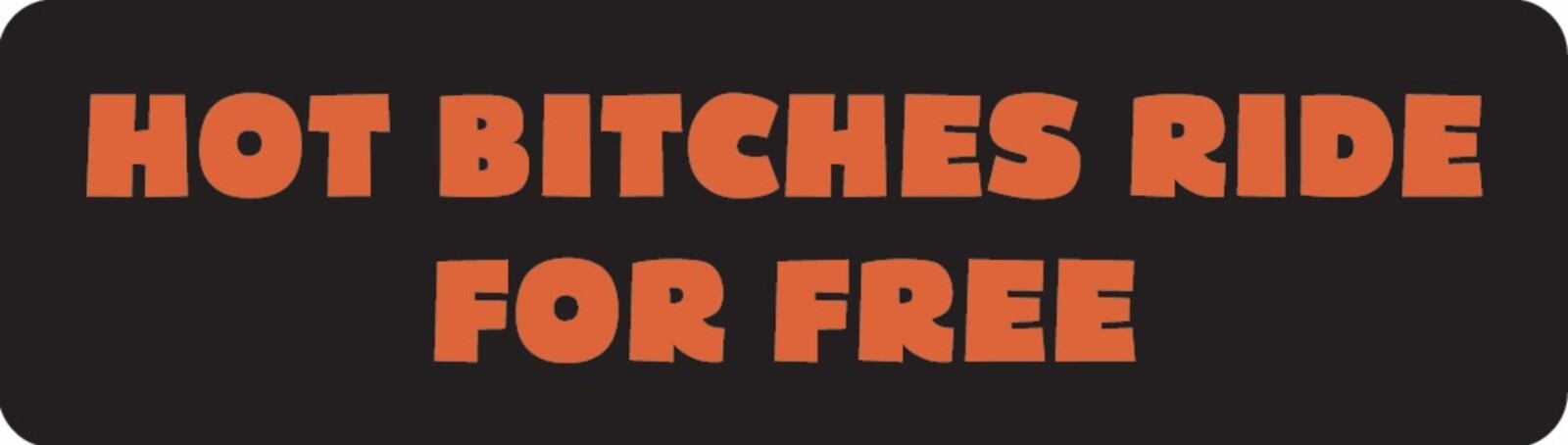 Hot Bitches Ride For Free Motorcycle Helmet Sticker B