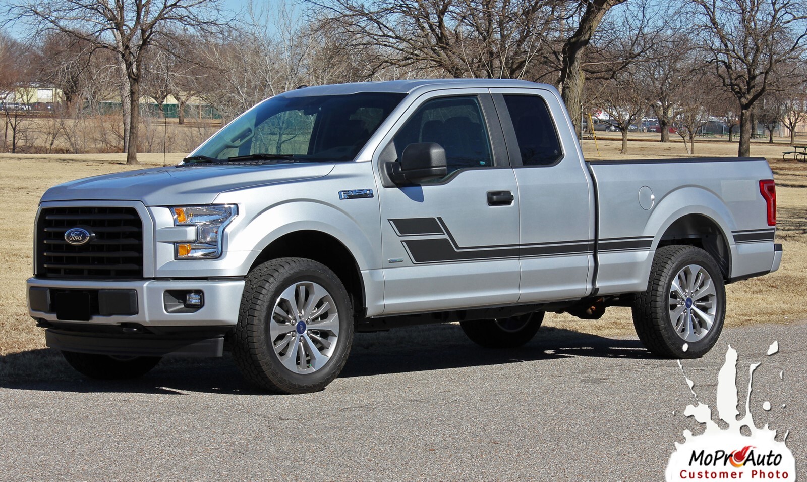 ELIMINATOR 2015-2020 Ford F-150 Side Door Low Hockey Stripe Vinyl Graphic Decal