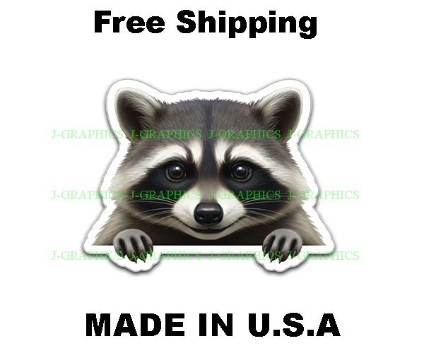 Peeking Raccoon Peeker Vinyl Sticker Window Bumper Laptop Tablet Decal Racoons a