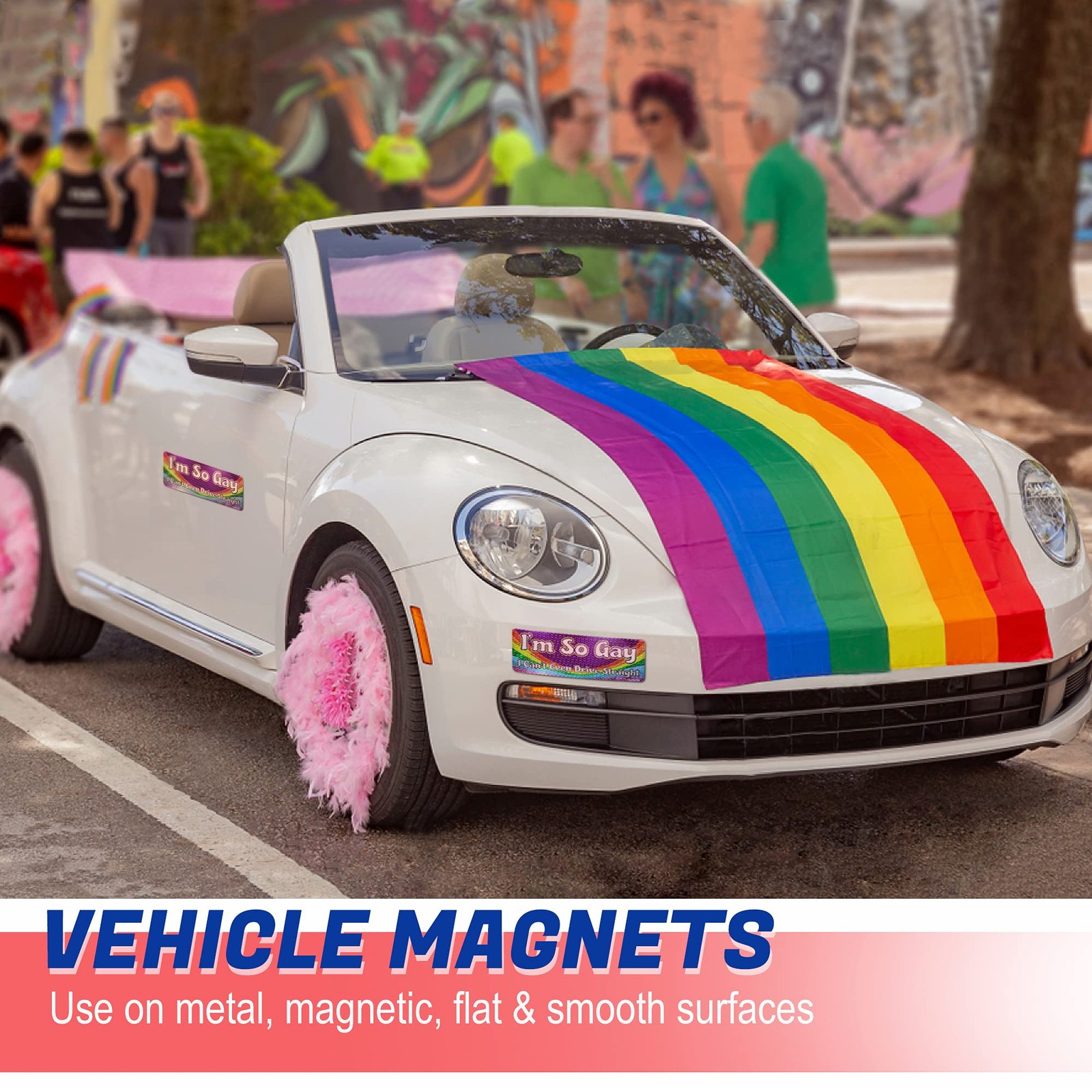 Anley I’m So Gay I Can’t 10 X 3 IN, I Even Drive Straight