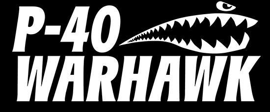 “P-40 WARHAWK” WWII,Plane,Fighter,Airplane,Aviation,Aircraft,Decal sticker