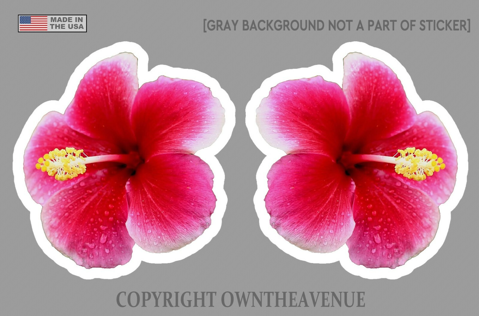 Hawaiian Hibiscus Flower Sticker Car Window Truck Vinyl Decal 2 PACK V-DRP42