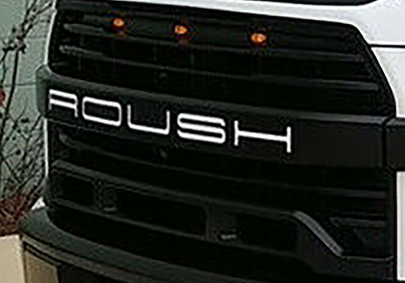 FITS ROUSH F150 Ford Grill Inserts Decal 2015 2016 2017 2018 2019