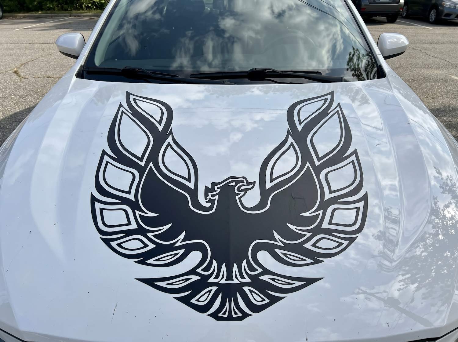 31×31 Firebird Phoenix Hood Graphic Vinyl Sticker for Truck SUV Car
