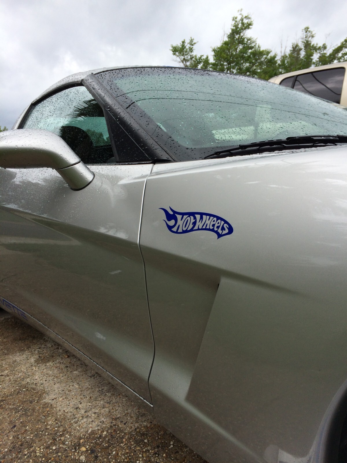 Two Hot Wheels Decal right and left sides 9 inch